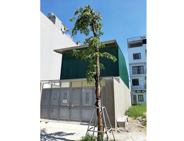 chinh chu cho thue mbkd, kho tai kdt nguyen khe, dong anh, hn; 0985431498