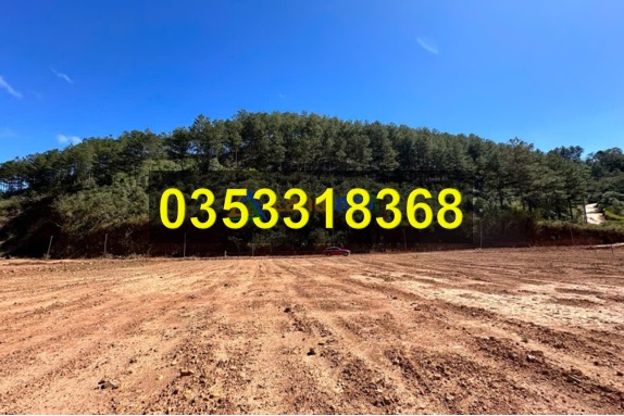 ⭐ban 3 lo dat sat nhau vi tri dep tai (lac duong) p.lang biang - da lat, lam dong, 0353318368