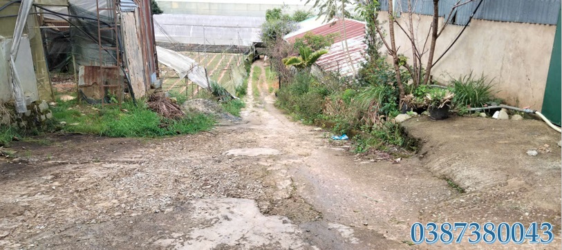 ⭐chinh chu ban lo dat 500m2 - gia 3 ty - tai khu lang hoa van thanh, tp.da lat, lam dong, 0387380043