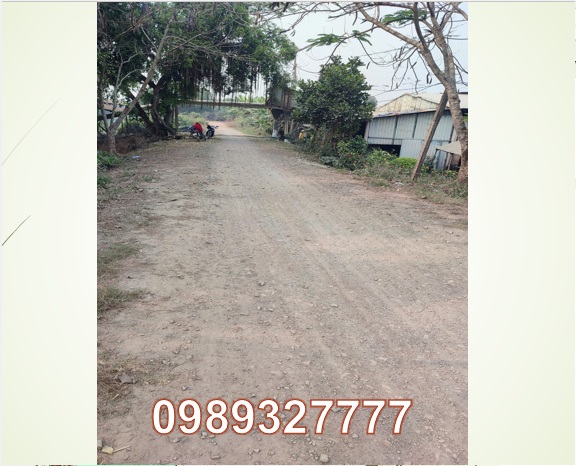 ⭐chinh chu can ban lo dat xa tan hoa (huyen tan thanh, long an), tay ninh moi; 0989327777