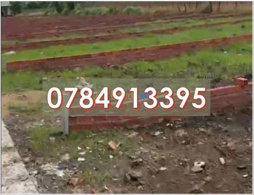 ⭐dat nen sat cong logistic san bay long thanh, dong nai, 0784913395