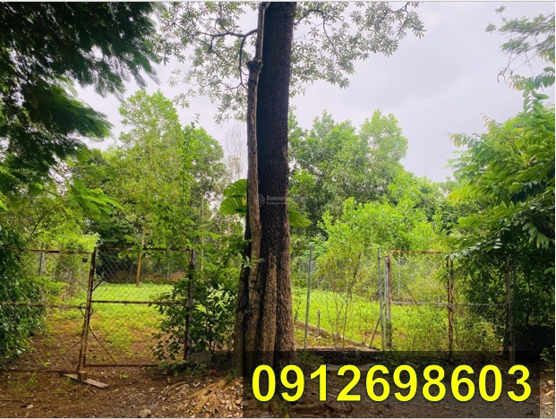 ⭐️chinh chu ban 116m dat hoa lac, quoc oai nga 3, sat duong to xe bus, gan metro 5 vua khoi cong. 0912698603