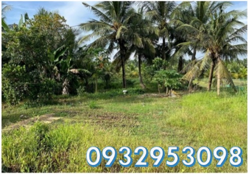 ⭐️chinh chu ban dat vi tri dep (chau thanh, tra vinh) nay la ap hoa lac c, xa song loc, vinh long, 0932953098