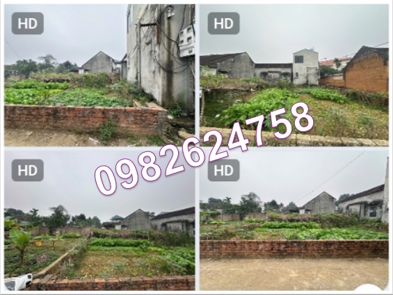 ⭐️chinh chu can ban nhanh 2 lo dat lien ke vi tri dep tai huyen thach that, tp ha noi, 0982624758