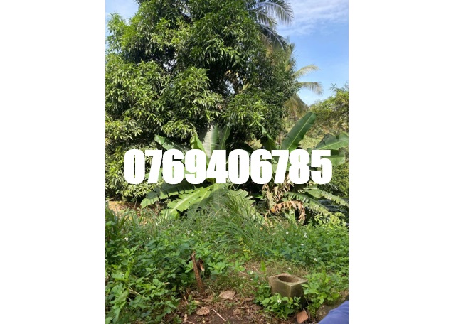 ⭐️chinh chu can ban nhanh lo dat mat tien duong y jut, buon ma thuot. 135 ty. 0769406785