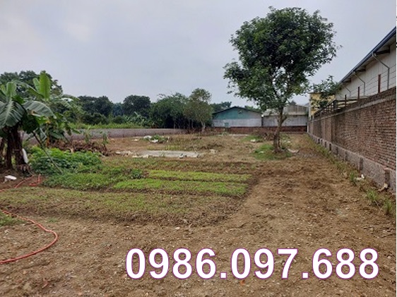 ⭐️cho thue 1.438m2 dat gia tot duong rong 6m tai xa dong xuan (quoc oai), ha noi, 0986.097.688