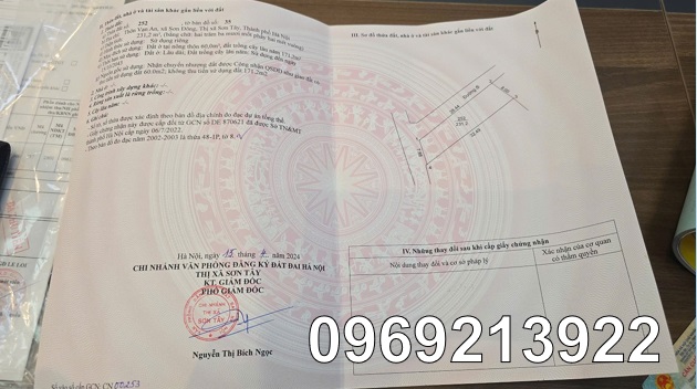 ⭐️hoa hau van an (son dong) - gia re nhung vi tri khong he re - 0969213922