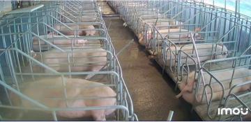 ⭐Cần bán gấp vườn cafe - Trại heo tại xã Phúc Thọ Lâm Hà, Lâm Đồng, 0865135913