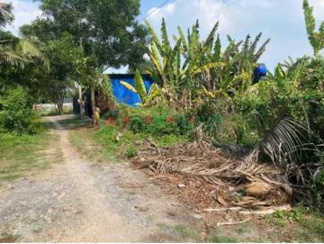 ⭐Chính chủ bán đất sẵn sổ giá tốt nhất Xuân Thới Sơn, Tp.HCM, 0934128928