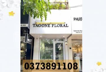 ⭐️Bán nhà số 19 Lương Khánh Thiện, Ngô Quyền, Hải Phòng, 0373891108