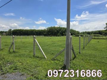 ⭐️Cần bán lô đất CLN vị trí đẹp tại tổ 19, Ấp Cây Sộp, xã Tân An Hội (Củ Chi), TP.HCM, 0972316866