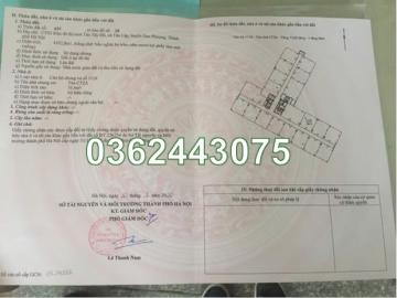 ⭐️Chính chủ bán gấp căn 2N2VS, full nội thất đẹp tòa CT2A KĐT Tân Tây Đô, Đan Phượng, HN, 0362443075