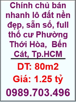☢️Chính chủ bán nhanh lô đất nền đẹp, sẵn sổ, full thổ cư Phường Thới Hòa, Bến Cát; 0989703496