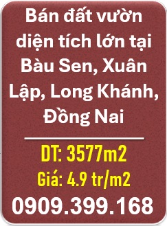 ⭐️Bán đất vườn diện tích lớn tại Bàu Sen, Xuân Lập, Long Khánh, Đồng Nai; 0909.399.168