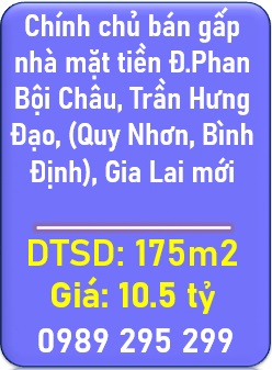 ⭐️Chính chủ bán gấp nhà mặt tiền Đ.Phan Bội Châu, Trần Hưng Đạo, (Quy Nhơn, Bình Định); 0989295299