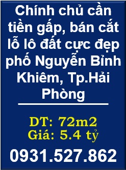 🌺Chính chủ cần tiền gấp, bán cắt lỗ lô đất cực đẹp phố Nguyễn Bỉnh Khiêm, Tp.Hải Phòng - 0931.527.862